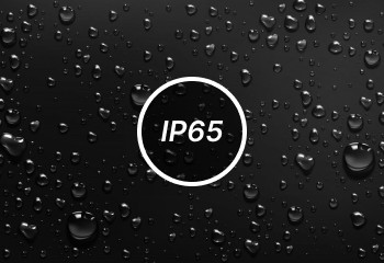 IP65